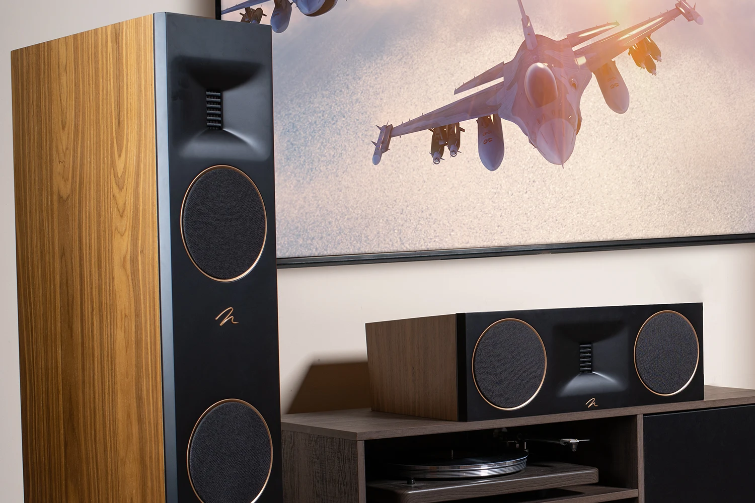 Martin Logan — produtos e aplicações