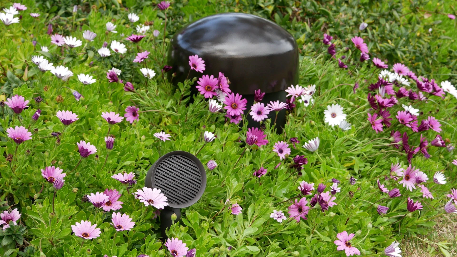 A composição começa
pelo seu jardim. — imagem 1