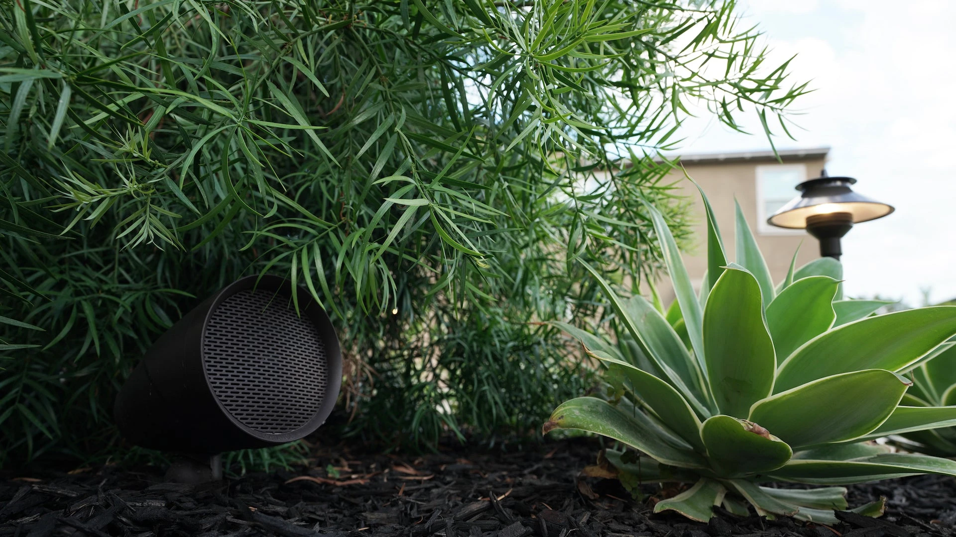 A música se distribui.
O jardim continua seu. — imagem 2