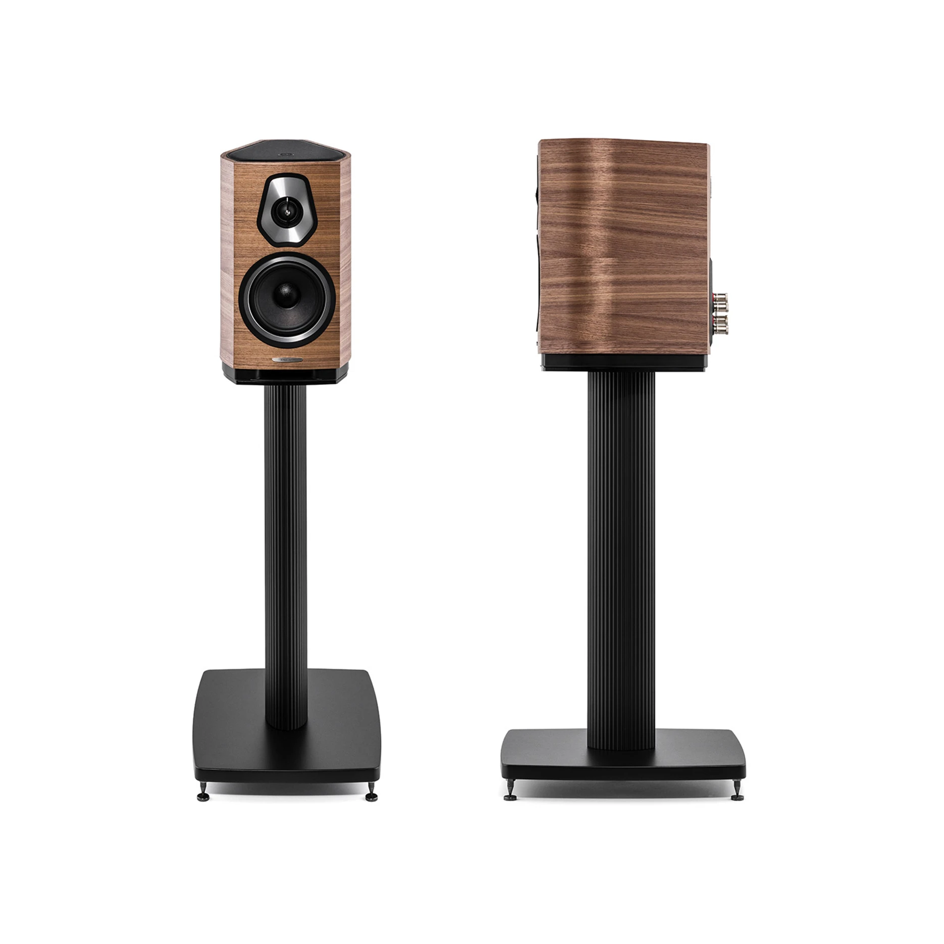 Sonetto I G2 — Nogal