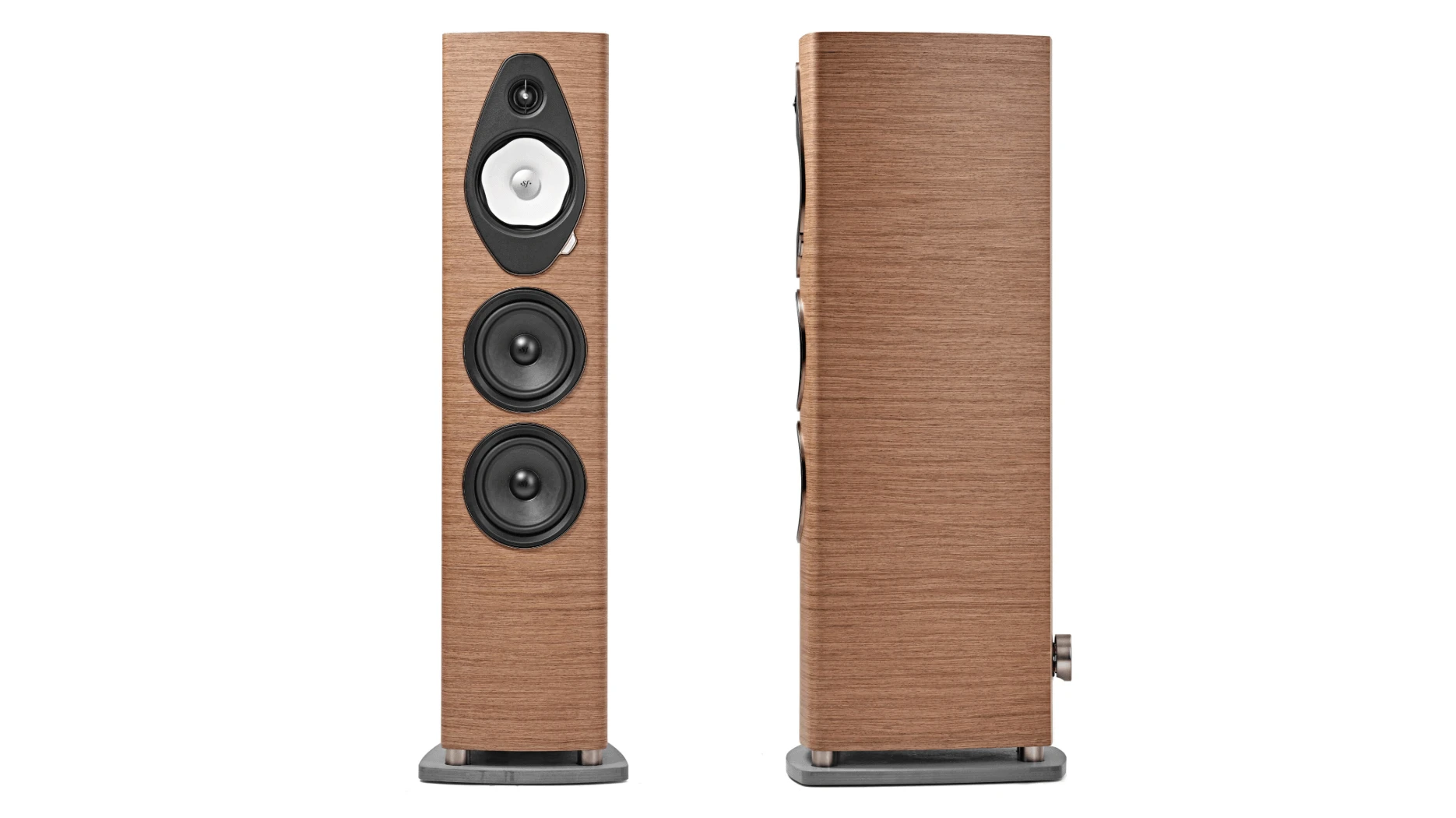 Sonetto V G2 — Nogal